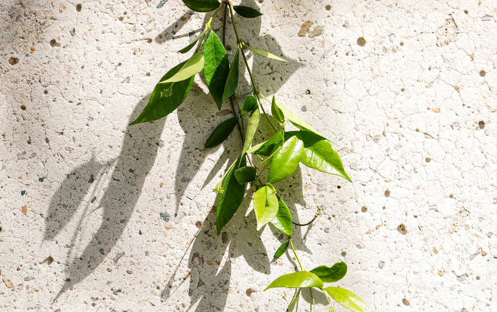 Nachhaltiges Sofa: Warum modulare Möbel die Zukunft sind