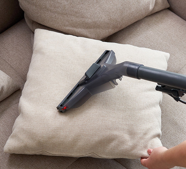 Hausstaubmilben auf dem Sofa: Was tun?<span> Vorbeugung und effektive Entfernung</span>